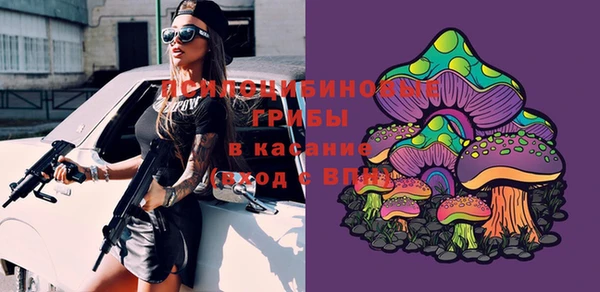 мдма Заводоуковск