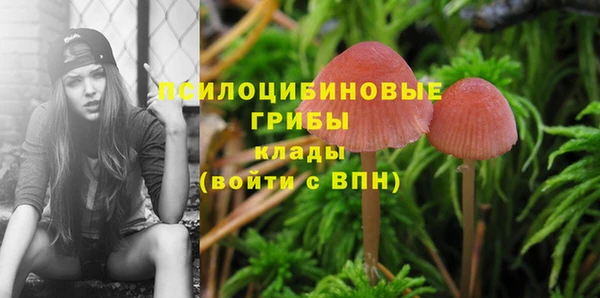 сатива Заволжск